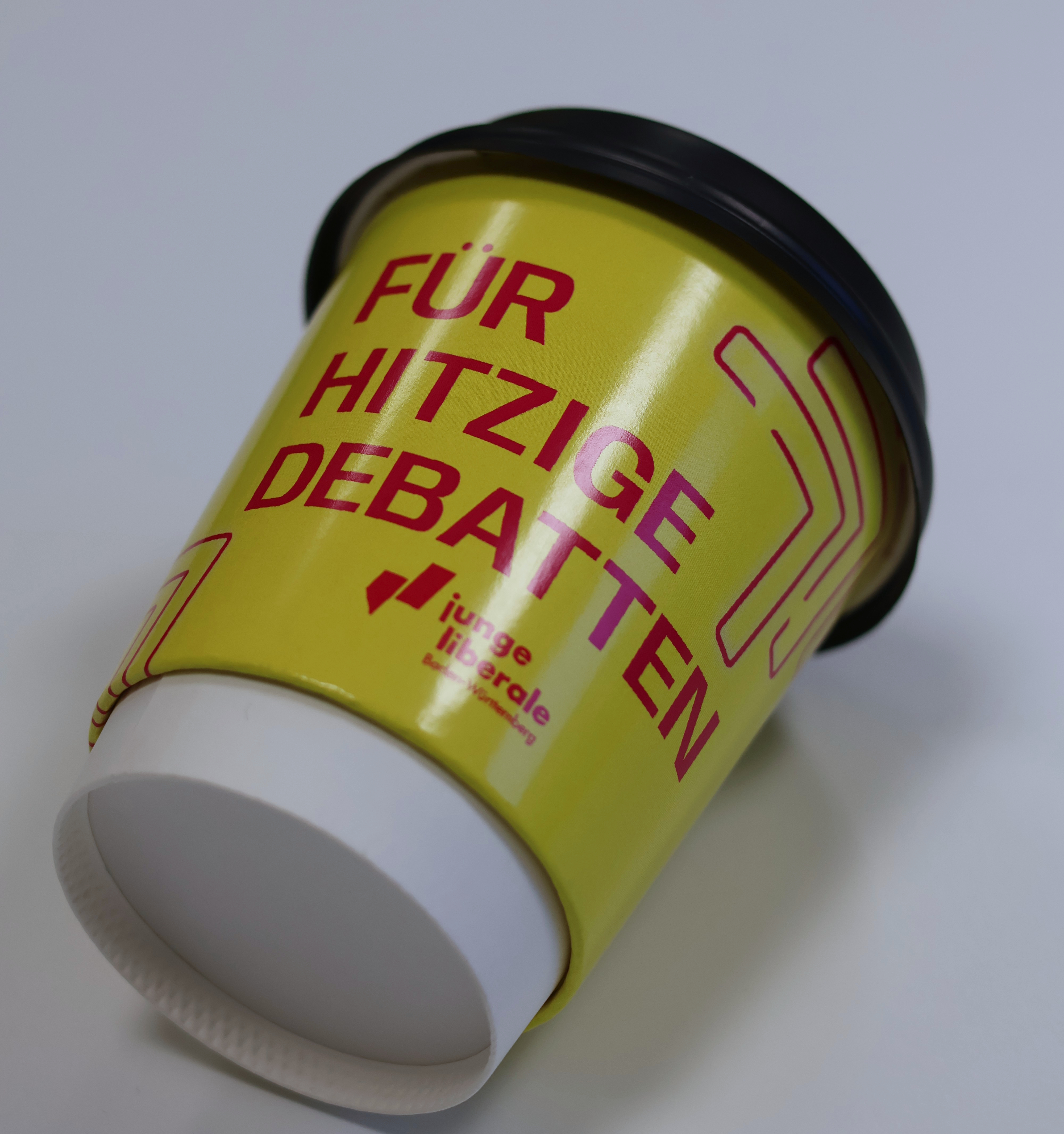 Get Ready to Rumble - Wahlkampf Starterkit